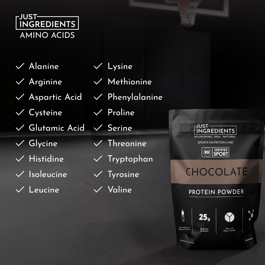 Chocolate Protein Powder — NSF Certified Sport, 25g Protein